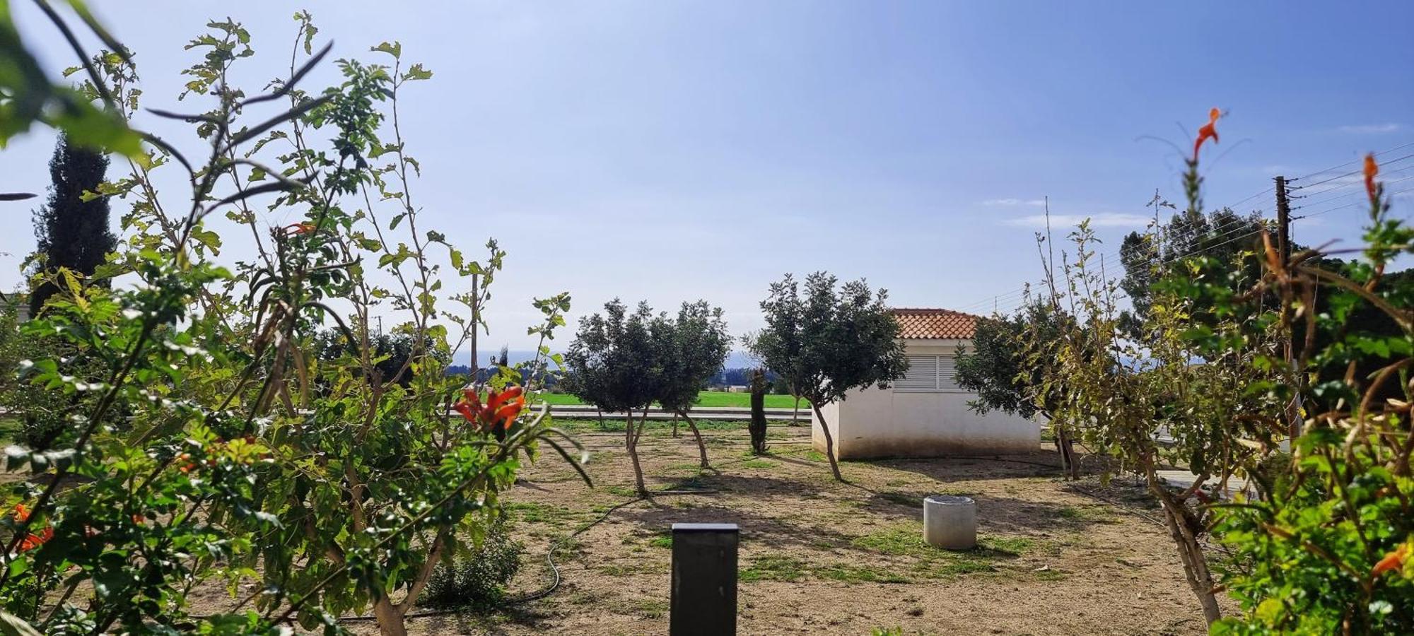 Shanti Paphos Villa Dış mekan fotoğraf