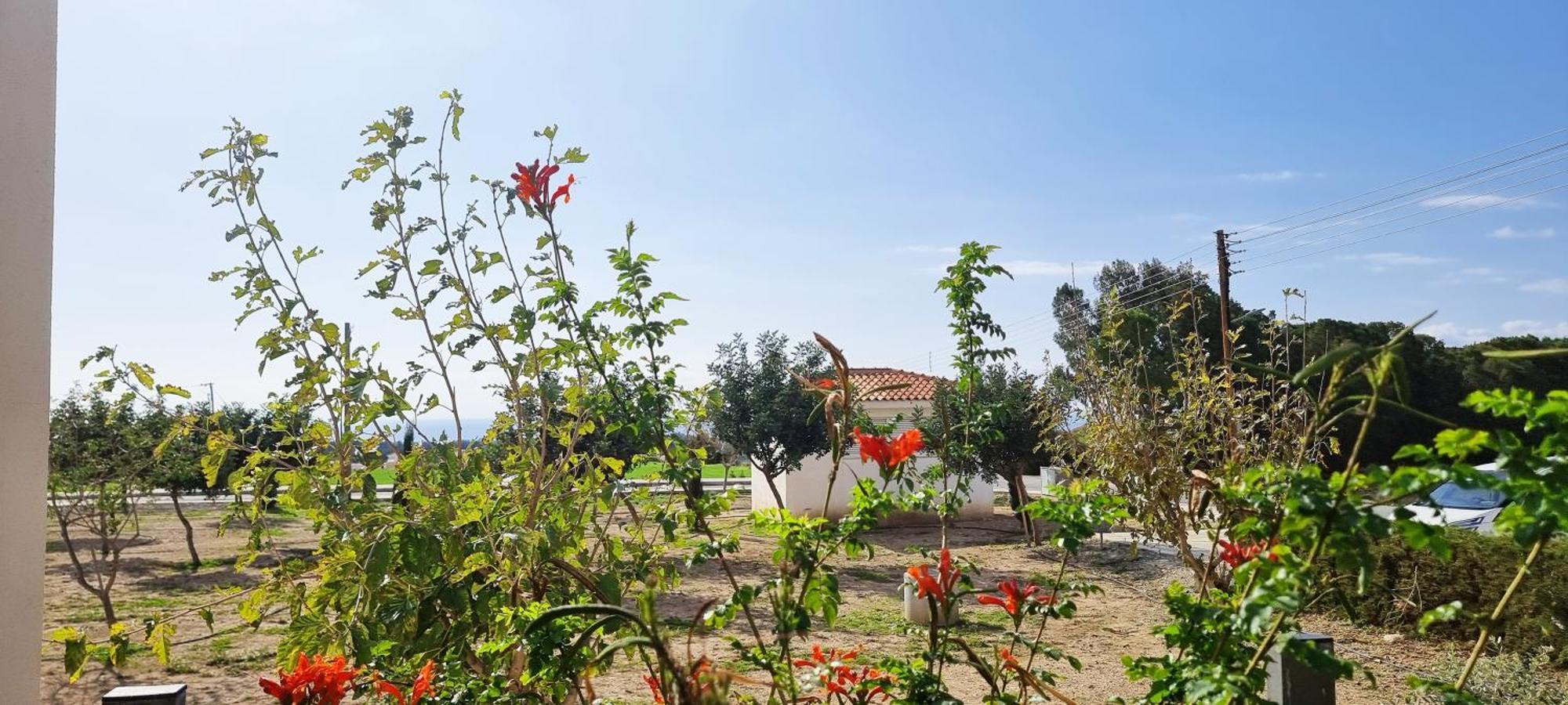 Shanti Paphos Villa Dış mekan fotoğraf