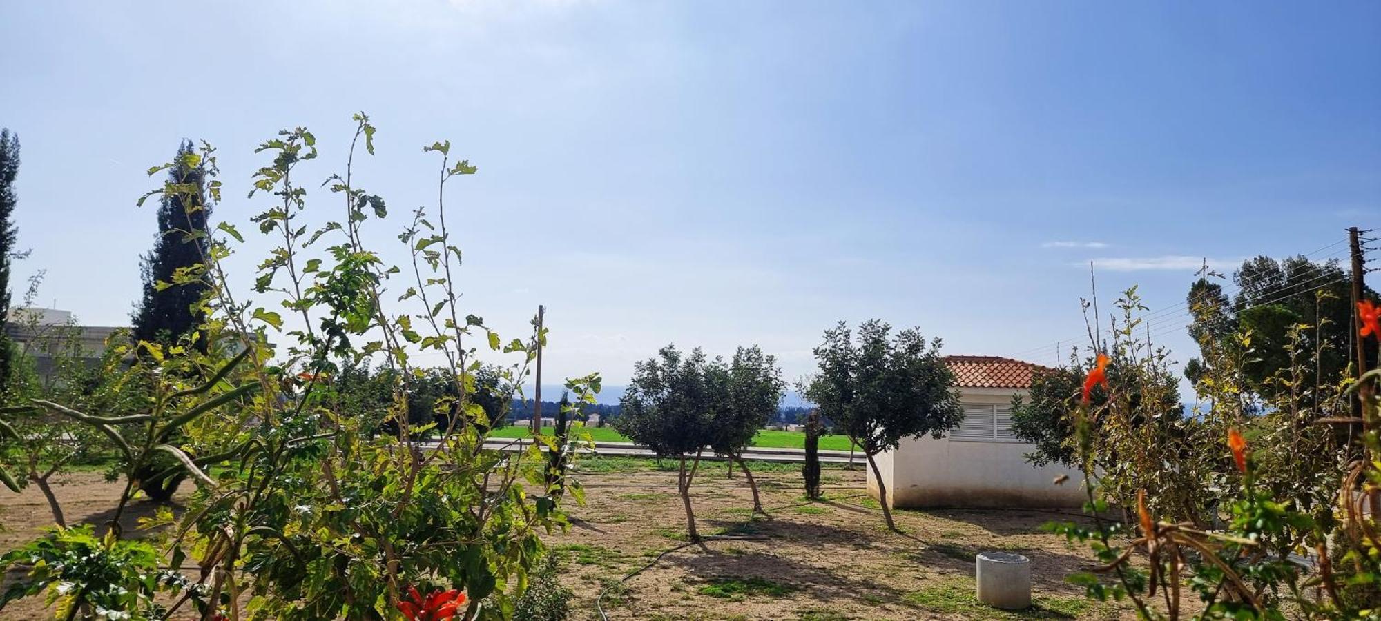 Shanti Paphos Villa Dış mekan fotoğraf